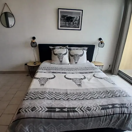 Clim Parking Dhuoda Apartamento Nimes